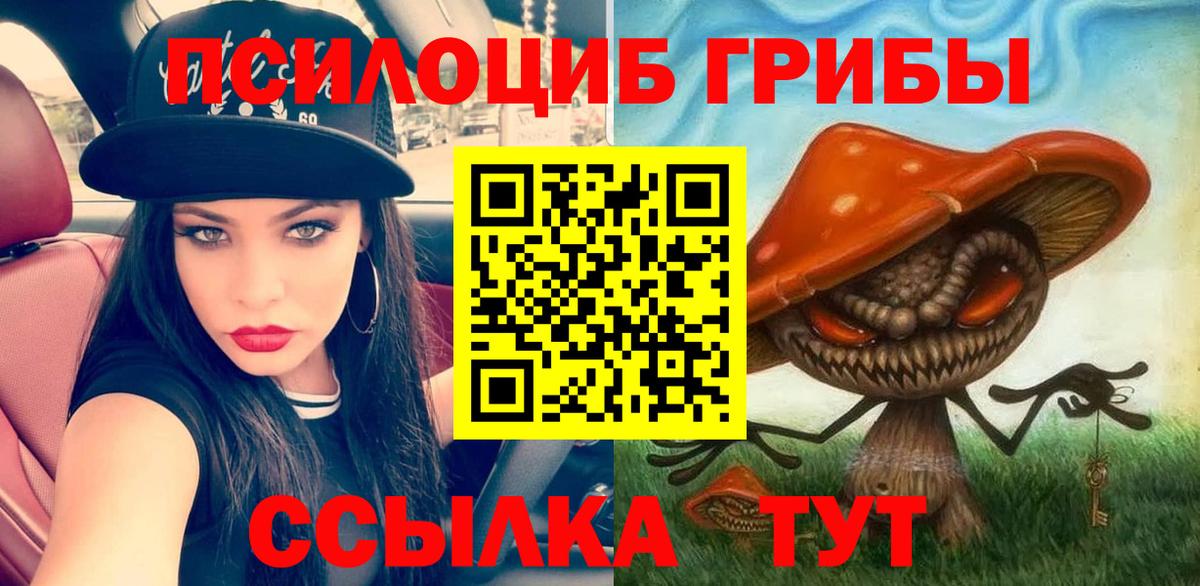 Псилоцибиновые грибы прущие грибы Прохладный