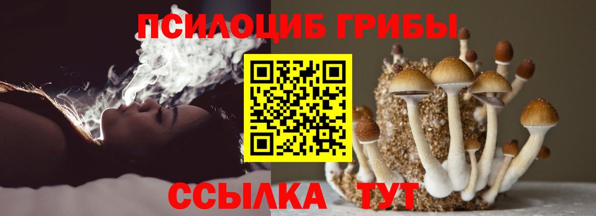Прохладный  Псилоцибиновые грибы Magic Shrooms  Вход с VPN 